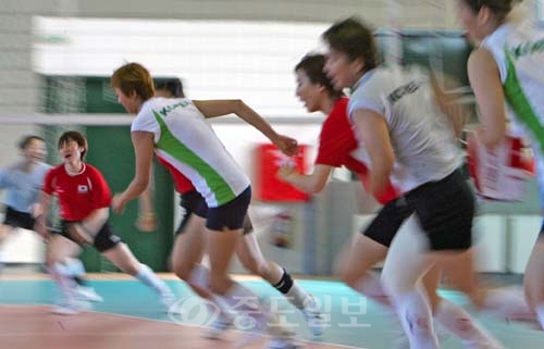 ▲   배구대표팀 훈련   아테네올림픽 배구대표팀 선수들이 9일 밤(한국시간) 브릴리시아 배구연습장에서 훈련에 열중하고 있다.