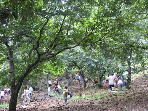 ▲ 한전 전력연구원은 공주에 소재한 농원에서 ‘고향마을 가을걷이’행사를 가졌다.