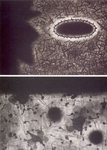 ▲ The Day. 50×70㎝. Line Etching, Deep Etching, Aquatint. 2006(위 그림), Seed. 50×70㎝. Line Etching, Deep Etching, Aquatint. 2006(아래 그림)