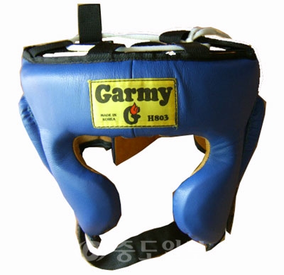 ▲ 프로권투 박상호 챔피언의 선물