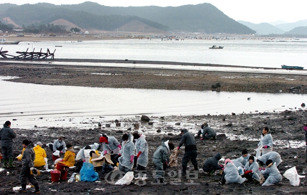 ▲ 태안 원유유출사고 11일째인 17일 태안군 의항리 개목항 인근에서 자원봉사를 나온 종교단체 관계자들이 방제작업을 벌이고 있다. @ 특별취재반