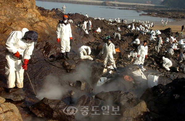 ▲ 태안 유조선 기름유출사고 18일째이자 성탄절 하루전인 24일 태안군 모항에서 자원봉사자들이 살수작업으로 방제작업을 하고 있다.	/특별취재반