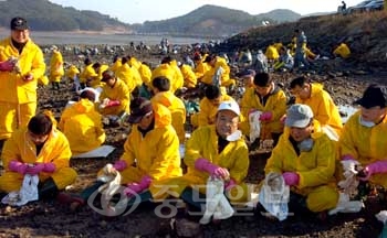 ▲ 하나금융그룹 윤교중 사장 및 임직원 250여명이 26일 태안군 의항3구에서 자원봉사를 펼치고 있다.