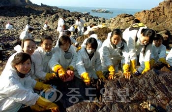 ▲ 대한항공 사회봉사단체인 고니회와 순우회 회원들이 26일 태안군 파도리 아치네 해안가에서 방제작업을 펼치고 있다.