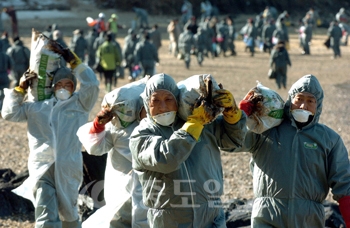 ▲ 폭설과 강풍, 높은 파도로 중단됐던 태안 기름 피해 지역 방제작업이 나흘 만에 재개된 2일 태안군 모항항에서 활림건설 직원들이 자원봉사를 펼치고 있다. @ 특별취재반