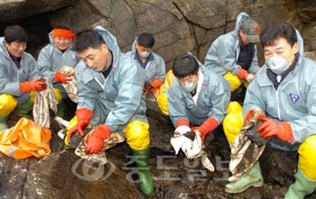 ▲ 6일 한국타이어 대전공장 직원들이 태안군 의항리 의항해수욕장에서 방제작업 봉사활동을 펼치고 있다.	/특별취재반
<br />
<br />