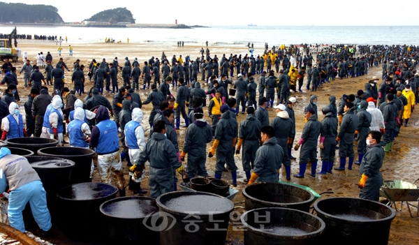 ▲ 지난해 12월 11일합동방제단이 만리포에서 인간띠를 형성하며 방제작업에 구슬땀을 흘리고 있다./태안=특별취재반