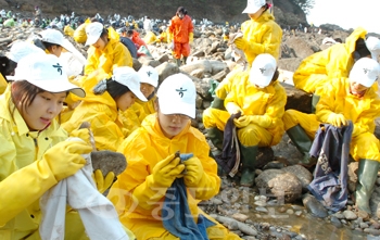 ▲ 하나은행 신입사원을 비롯한 임직원들이 10일 태안군 소원면 구름포해수욕장 주변 피해지역에서 방제작업을 하고 있다.	/특별취재반