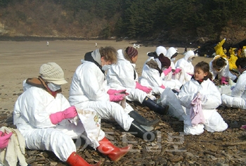 ▲ 12일 충남도교육청 소속 원어민영어보조교사들은 태안을 찾아 봉사활동을 펼쳤다.