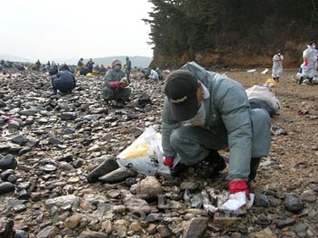 ▲국내 최대 자동차 공조업체 (주)한라공조는 태안군 소원면 의항 일대에서 기름띠 제거 작업을 벌였다.