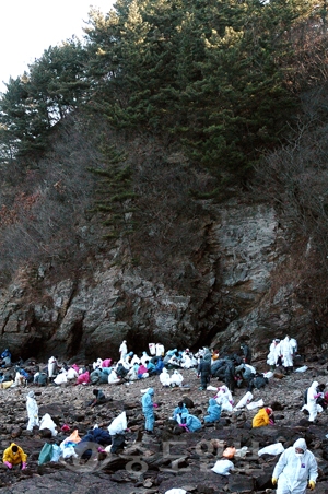 ▲ 추운 겨울날씨를 보이는 상황속에도 15일 태안군 소원면 십리포 인근의 해변에 아름다운 자연환경을 되찾기 위한 자원봉사자들의 손길이 이어지고 있다. @ 특별취재반