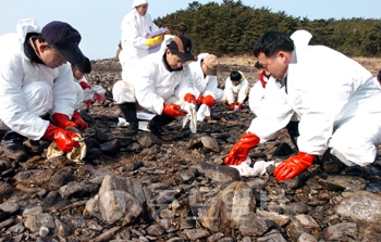 ▲ 한국전기안전공사 직원들이 15일 태안군 소원면 청운대에서 돌에 묻은 기름찌꺼기를 닦으며 방제작업을 벌이고 있다.	/특별취재반