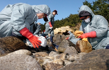 ▲ 한국철도시설공단 수도권지역본부 직원들이 16일 태안군 소원면 구름포해수욕장 인근에서 방제활동을 벌이고 있다.	/특별취재반