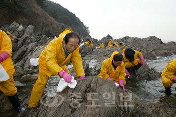 ▲ 김신호 교육감을 비롯해 시교육청 간부공무원 50여명은 19일 태안군 소원면 파도리 해수욕장에서 방재작업을 벌였다.