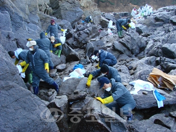 ▲ 진로는 지난 19일 300명으로 결성된 봉사단을 결성해 태안군 소원면 의항리 구름포 해수욕장을 찾아 방재활동을 펼쳤다.