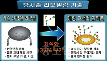 ▲ 당사슬 생합성 경로가 인간화된 효모의 제작 개념도. 