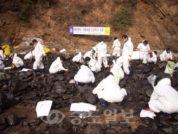 ▲ 수원시가 지난해 12월 12일부터 태안군 원북면 황촌2리 구례포 해수욕장 주변에 최근까지 1만여명의 자원봉사자를 투입, 지역 주민들에게 큰 힘을 주고 있다. 사진은 수원시청 자원봉사자들의 방제작업 모습.