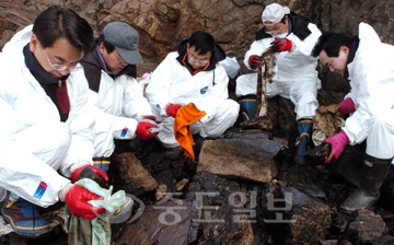 ▲ 한국서부발전 류정만 처장을 비롯한 직원들이 14일 태안군 소원면 모항 인근을 찾아 기름을 제거하는 자원봉사 활동을 벌이고 있다.	/특별취재반