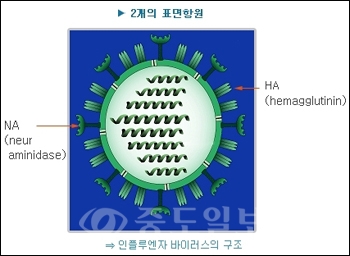 ▲ 출처 : avian.cdc.go.kr