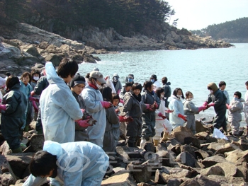 ▲ 지난 19일 태안 천리포 해수욕장 인근 기름피해지역에서 바위를 바닷물에 적시기 위해 줄지어 바위를 나르는 한밭여중 학생들의 모습.