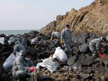 ▲ 28일 태안군 소원면 백리포 해변가에서 기름제거 봉사활동을 펼친 대전 서구 관저2동 복지만두레 회원 30여 명.