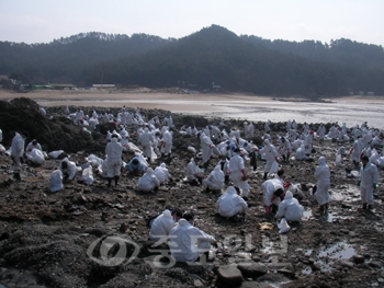 ▲ 충남 바르게살기협의회 회원 1000여명은 10일 태안군 소원면 백리포에서 방제작업에 구슬땀을 흘렸다.