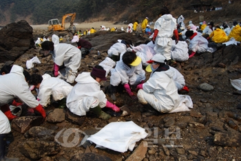 ▲ 충남도자원봉사센터 회원 750여명이 12일 태안 백리포 지역에서 기름방제 작업을 펼치며 자원봉사 열기 재점화 운동을 전개했다.