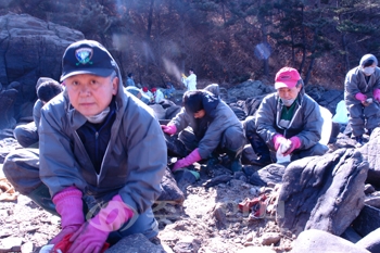 ▲ 한국한의학연구원 직원 40여명이 지난 14일 태안 구름포 해안에서 바위에 묻은 기름을 제거하고 있다.