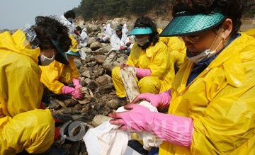 ▲ 주부들로 구성된 계룡시여성의용소방대 대원들이 24일 태안군 소원면 의항리 천리포에서 기름제거작업을 하고 있는 모습.