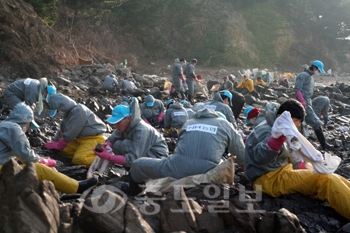 ▲ 농협중앙회를 비롯해 태안군지부 직원들이 태안 기름피해 해안에서 기름제거작업 및 폐기물 반출작업을 벌이고 있다.