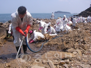 ▲ 농협중앙회 대전지역본부 직원들이 1일 근로자의 날을 맞아 휴식 대신 태안군 원북면 구례포를 찾아 기름 제거 작업을 통해 의미있는 봉사시간을 가졌다.