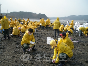 ▲ 신한은행 본점및 대전충남 직원들이 태안 신두리 지역에서 기름 제거하는 모습.