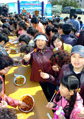 ▲ 동백꽃 주꾸미축제