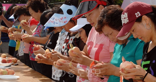 ▲ 제6회 조치원 복숭아축제가 지난 9일부터 이틀간 연기군 고복군립공원에 열린 가운데 복숭아 껍질 길게깎기에 참가한 주부들이 진지하게 껍질을 깍고 있다. /홍성후 기자