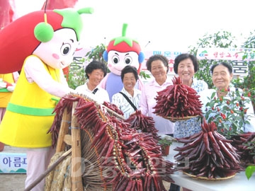 ▲ 제7회 청양고추구기자축제.