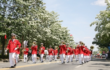 ▲ 지난해 유성 온천광로변에서 펼쳐진 ‘YESS눈꽃축제’ 행사 모습.