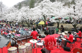 ▲ 지난해 식장산 세천도시자연공원에서 열린 생명축제 공연 모습