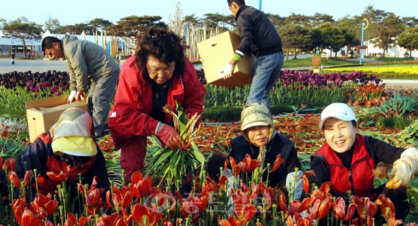 ▲ 2009 안면도 국제 꽃박람회 폐막이 일주일여 앞으로 다가온 가운데 박람회장 관계자들이 정원의 꽃들의 교체작업을 하고있다./태안=손인중 기자