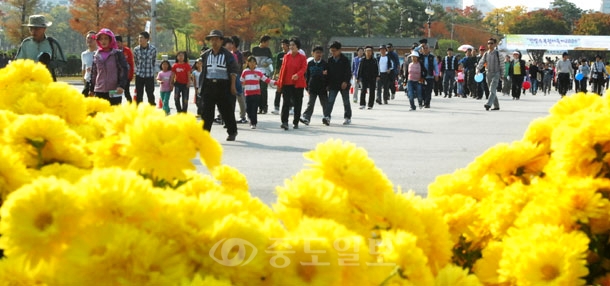 ▲ 대전시민과 함께하는 '한밭수목원대축제 2009'가 24일 한밭수목원 일원에서 열려 가족과 함께 수목원을 찾은 많은 시민들이 화창한 날씨속에 국화꽃이 가득핀 길을 걸으며 즐거운 휴일 한때를 보내고 있다.