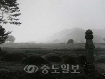 ▲ 삶은 잠이고, 사랑은 꿈이다(무덤시리즈 中)