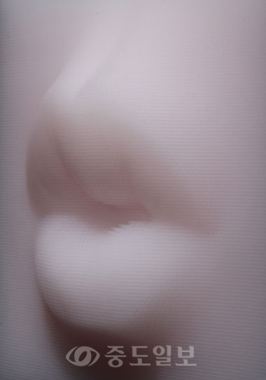 ▲ 홍상식 作
