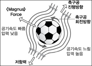 ▲ 공의 물리학적 움직임