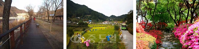 ▲ 왼쪽(대덕구 로하스해피로드), 가운데(동구 노고산성해맞이길), 오른쪽(충북 청남대 사색길)