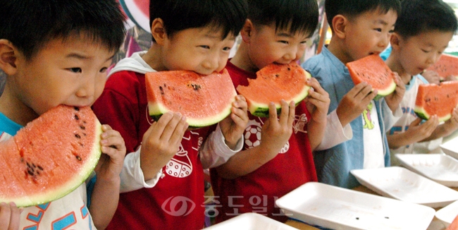 ▲ 부여 굿뜨래 수박축제에서 수박 빨리먹기 시합을 벌이고 있는 유치원생들./사진=중도일보 DB