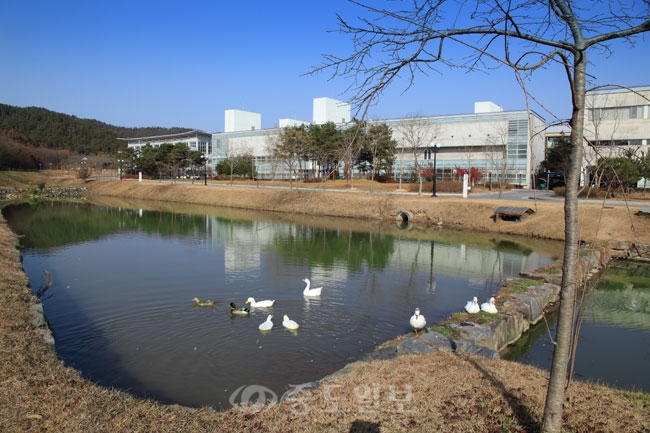 ▲ 한국전통문화학교의 가을 ▲ 한국전통문화학교의 가을