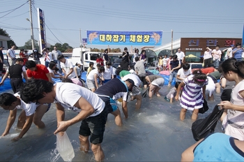 ▲ 제16회 홍성남당항대하축제가 16일부터 오는 30일까지 15일간의 일정으로 개최된다. 사진은 지난해 대하잡기 체험행사 모습.