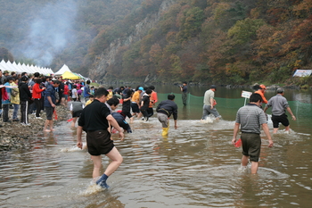 ▲ 제1회 청양밤참축제가 지난 29일 대치면 작천리 까치내 유원지 일원에서 열려 방문객들이 참게잡기 체험을 즐기고  있다.