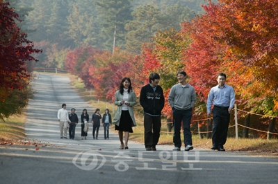 ▲ 독립기념관의 숨겨진 비경인 단풍나무 둘레길이 관광객들에게 인기를 얻고 있다.