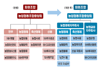 ▲ 농협 사업구조개편 전·후 변화 