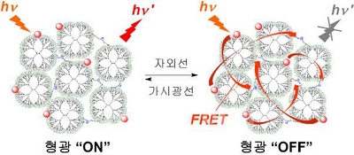 ▲ 두 가지 다른 파장대의 빛(자외선과 가시광) 조사에 따른 가역적 형광스위칭을 위한 생체적합성 덴드리머 나노클러스터의 구조 및 개요도.